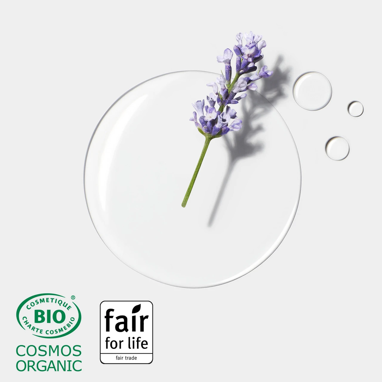 Shampooing Sec Naturia René Furterer 200ml – Image 4