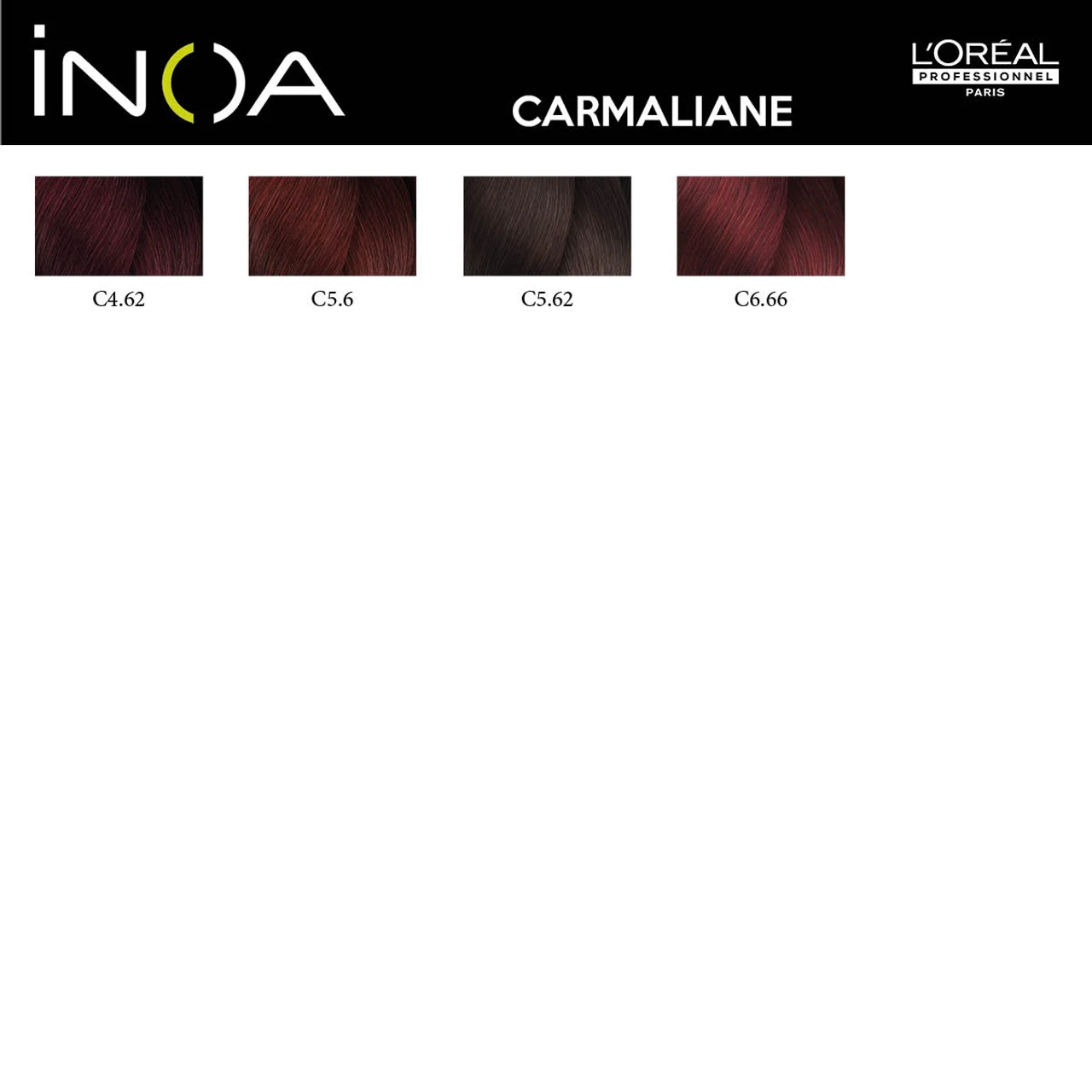 Coloration Inoa Carmilane L'Oréal Professionnel 2 Coloration Inoa Carmilane L'Oréal Professionnel – Image 2